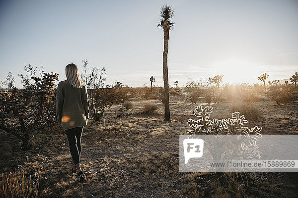 Rückenansicht einer Frau  die bei Sonnenuntergang in der Wüste spazieren geht  Joshua Tree  USA