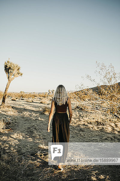 Rückenansicht einer blonden Frau  die in der Wüste spazieren geht  Joshua Tree  USA