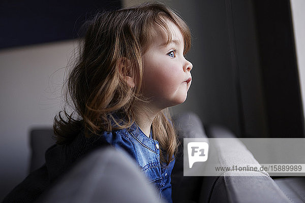 Toddler girl looking out of window