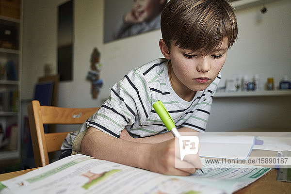 Portrait of boy doing homework