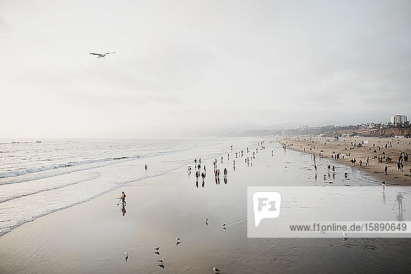 Blick auf den Strand von Santa Monica  Los Angeles  USA