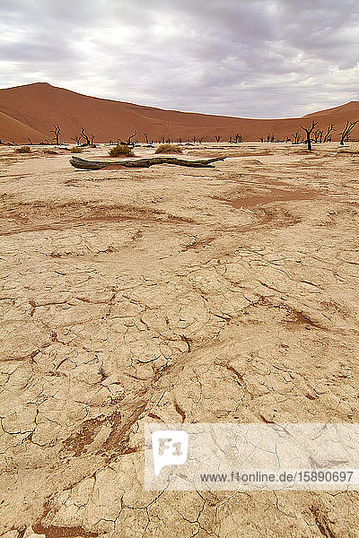 Namibia  Dry soil at Deadvlei clay pan