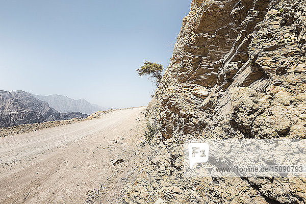 Oman  Ad Dakhiliyah  Leerer Feldweg in der Schlucht des Wadi Bani Awf