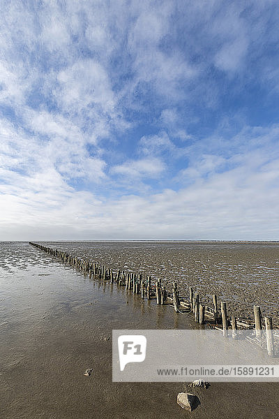 Denmark  Romo  Clouds over old groyne stretching along mud flat