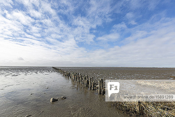 Denmark  Romo  Clouds over old groyne stretching along mud flat