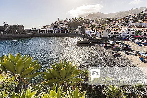 Portugal  Madeira  Camara de Lobos  Küstenstadt im Sommer