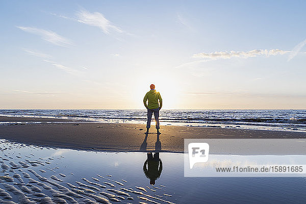 Rear view of senior man standing on shore at beach during sunset North Sea Coast Flanders Belgium