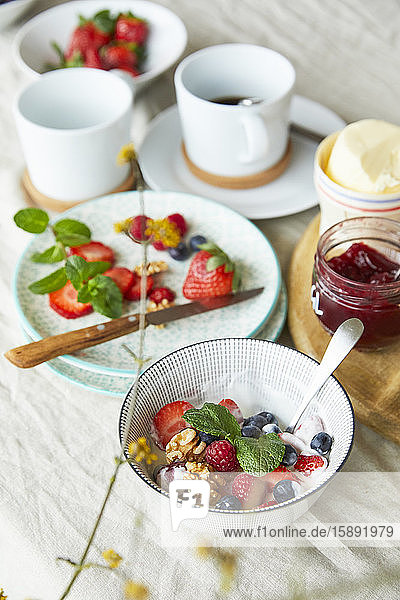 Germany  Bowl of breakfast yogurt with fruits  walnuts and mint