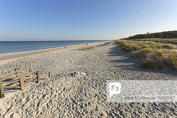 Germany  Mecklenburg-Western Pomerania  Prerow  Sandy coastal beach of Baltic Sea