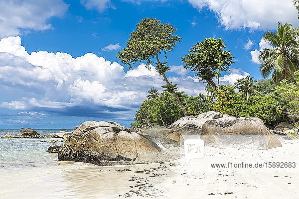 Seychellen  Mahe  Granitfelsen und Palmen am Beau Vallon Beach im Sommer