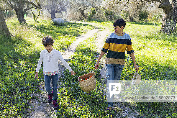 Mother and daughter walking on a rural path carrying a basket with oranges
