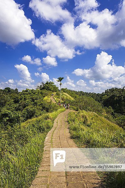 The Campuhan Ridge Walk Ubud Bali Indonesia.