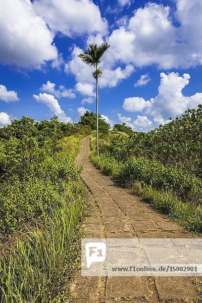 The Campuhan Ridge Walk Ubud Bali Indonesia.