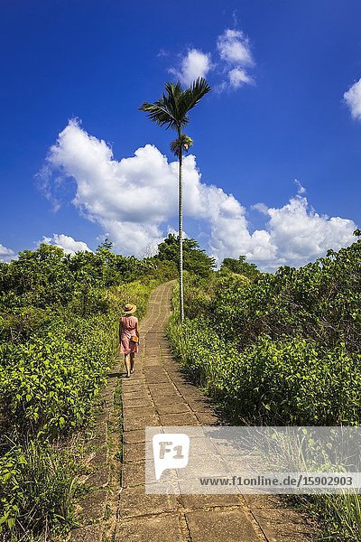 Woman on the Campuhan Ridge Walk Ubud Bali Indonesia.