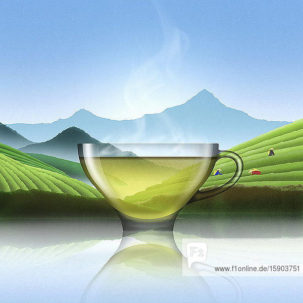 Glas chinesischer grüner Tee in einer Teeplantagenlandschaft