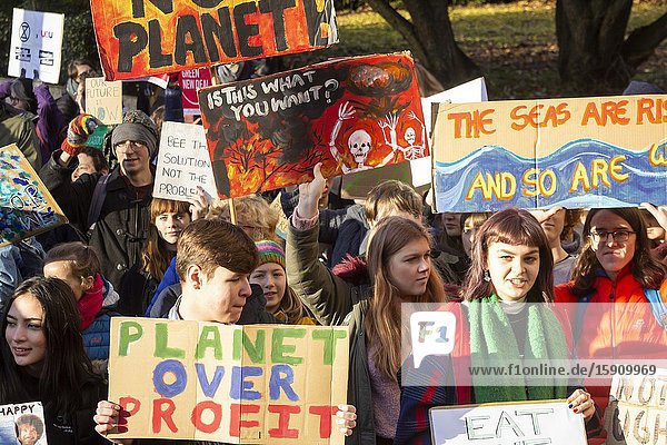 Newcastle upon Tyne England. UK. 29th November 2019. Climate change protest in Newcastle upon Tyne.