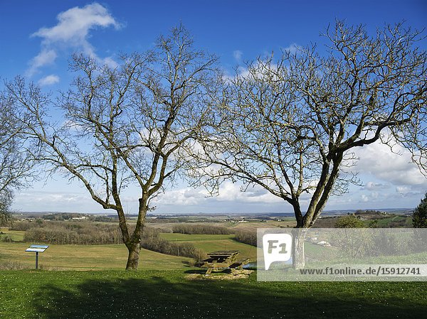 Picnic table and bare trees with view of countryside Tourtres Lot-et-Garonne Department Nouvelle Aquitaine France.