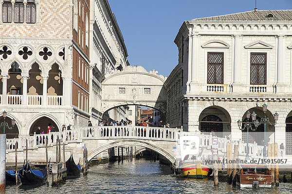 Grand canal and the palaces on January 26 2015 in Venice Veneto Italy.