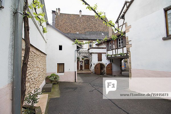 Street scenery in Mittelbergheim a village of a region in France named Alsace on May 13 2016.