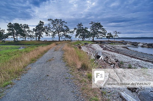 Shorline Trail at Brownie Bay Newcastle Island Provincial Marine Park Nanaimo British Columbia Canada.