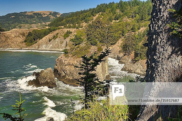 View north from Arch Rock Viewpoint Oregon USA.
