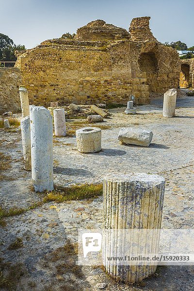 Roman ruins. Baths of Antoninus. Carthage. Tunisia Africa.