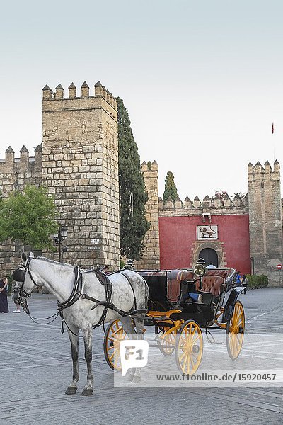 Horse carriage next La Alcazaba Seville Andalusia Spain
