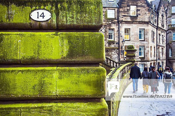 Green moss on typical wall Old town of Edinburgh Scotland United Kingdom Europe.