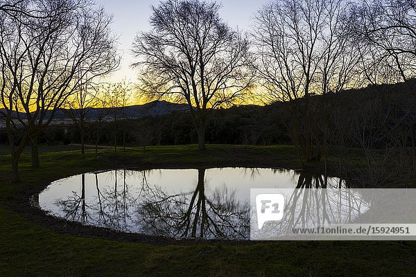 Pool and trees. Aerial view. Ancin area. Navarre Spain Europe.