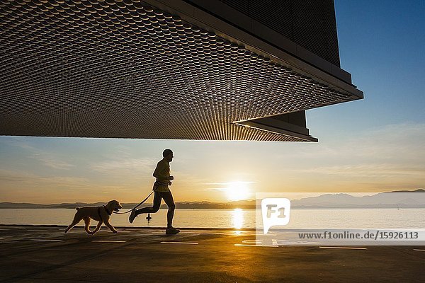 Santander Cantabria Spain. Jogger with dog at sunrise under Centro Botín art gallery designed by Pritzker Prize-winner architect Renzo Piano.