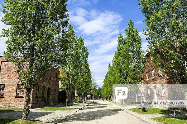 Auschwitz Birkenau Concentration Camp OŠ›wiÄ. cim Museum Southern Poland Europe EU UNESCO.