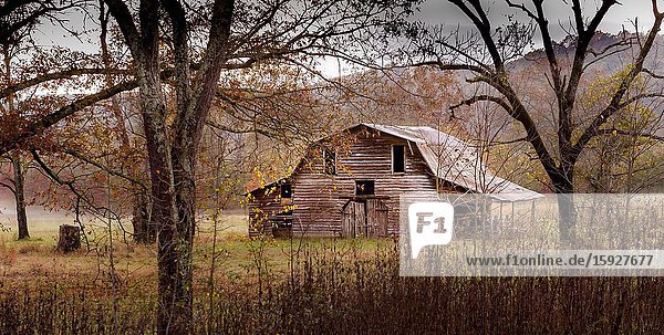A old wooden barn in a meadow  framed by trees in the autumn.