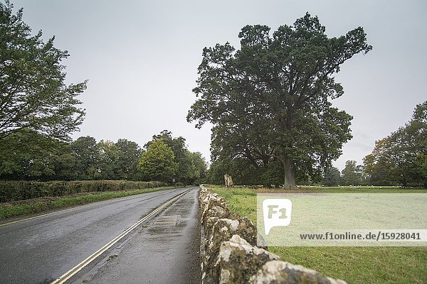Lacock Abbey and Grounds - Wiltshire England on October 14 2019.