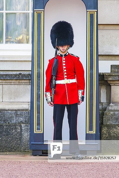 Foot guards Buckingham Palace London England United Kingdom Capital River Thames UK Europe EU.