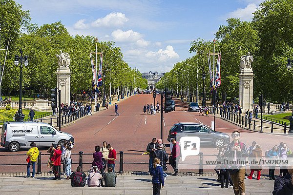 The Mall Westminster London England United Kingdom Capital River Thames UK Europe EU.