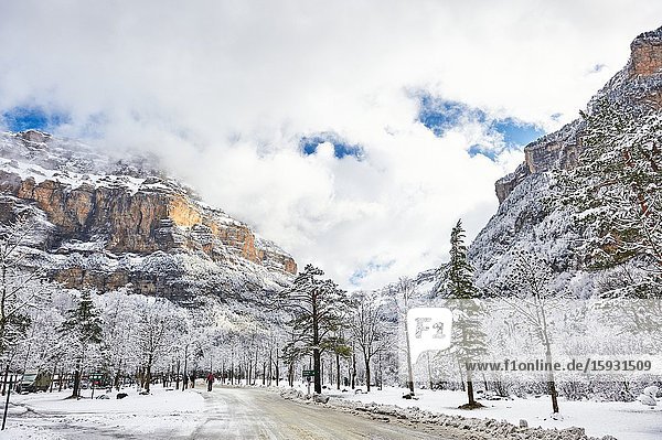 Pyrenees: Snowy landscape in Meadow of Ordesa entrance to the National park of Ordesa and Monte Perdido (Huesca province Aragon region Spain)