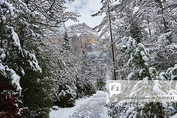 Pyrenees: Snowy path in the National park of Ordesa and Monte Perdido (Huesca province Aragon region Spain)