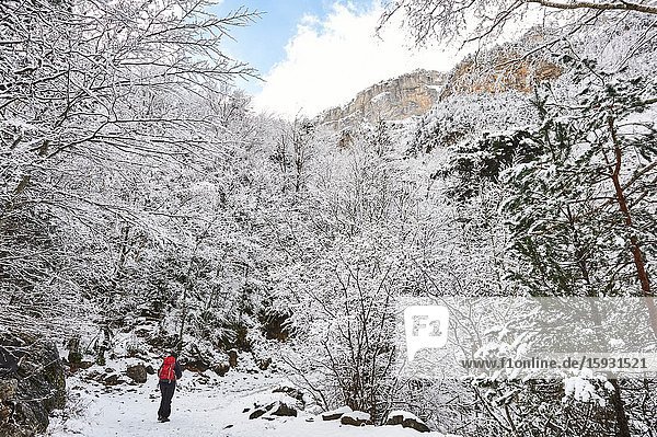 Pyrenees: a woman hiking along snowy path in the National park of Ordesa and Monte Perdido (Huesca province Aragon region Spain)