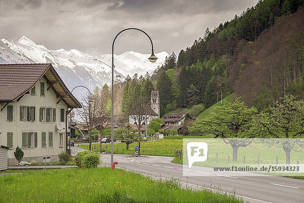 Landscape in Wilderswil Junfrau region Berner Oberland Switzerland.