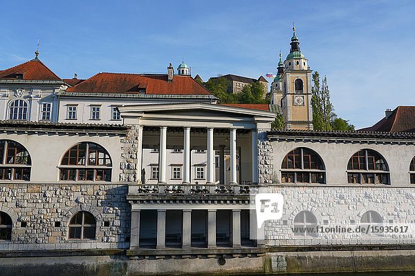 The Ljubljana Central Market and Ljubljanica River, Ljubljana, the capital and largest city of Slovenia, Europe