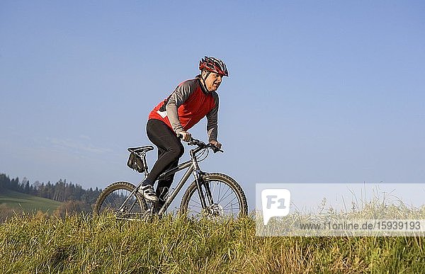 Radfahrer auf Radtour mit Mountainbike  Salzkammergut  Oberösterreich  Österreich  Europa