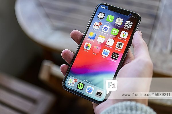 Hand hält iPhone 11  Startbildschirm  Home screen mit verschiedenen App-Icons auf dem Display  Apps  iOS  Smartphone  Deutschland  Europa