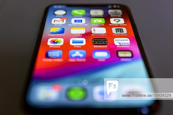 IPhone 11  Startbildschirm  Home screen mit App-Icons auf dem Display  Apps  iOS  Smartphone  Deutschland  Europa