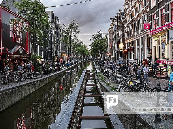 Viele Touristen besuchen am Abend das berühmte rote Viertel  Amsterdam  Nordholland  Niederlande  Europa