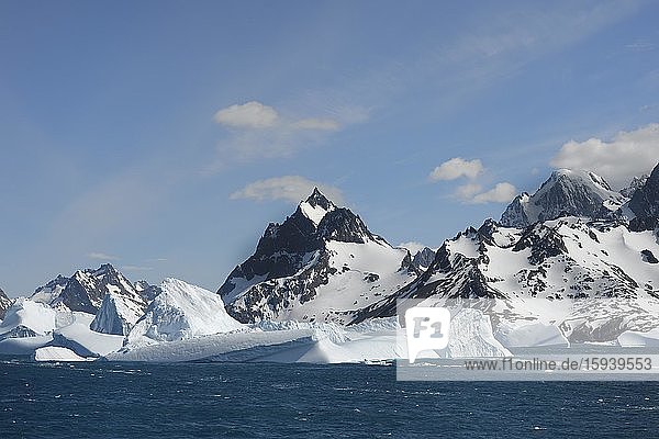 Schwimmende Eisberge vor Berggipfeln mit Schnee  Drygalski-Fjord  Südgeorgien  Südgeorgien und die Sandwich-Inseln  Antarktis  Antarktika