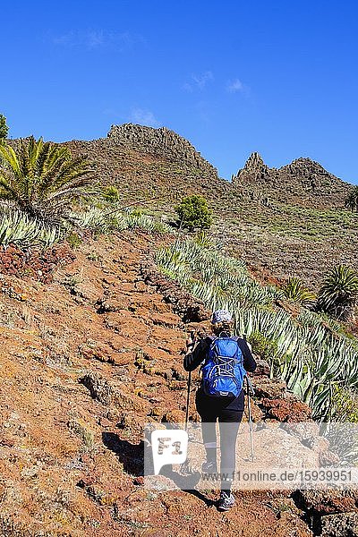 Frau wandert auf felsigem Wanderweg  Tacalcuse  bei San Sebastian  La Gomera  Kanaren  Spanien  Europa