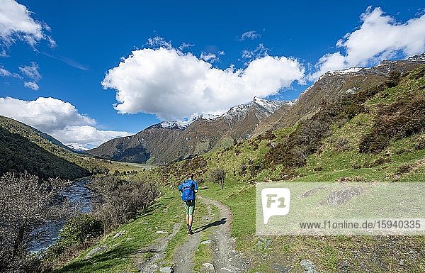 Hiker on trail to Rob Roy Glacier  Rob Roy Stream  Mount Aspiring National Park  Otago  South Island  New Zealand  Oceania