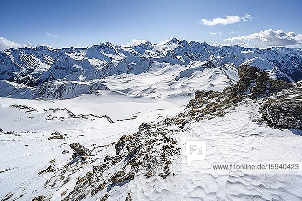 Blick vom Geierjoch auf Olperer und Zillertaler Alpen  Wattentaler Lizum  Tuxer Alpen  Tirol  Österreich  Europa