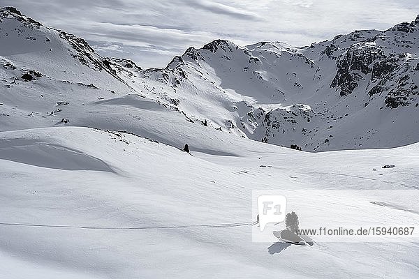 Ski tourers cross a flat slope  Wattentaler Lizum  Tuxer Alps  Tyrol  Austria  Europe