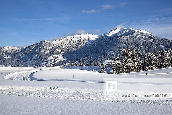 Langlaufloipe  hinten das Kellerjoch  Tuxer Voralpen  Tirol  Österreich  Europa